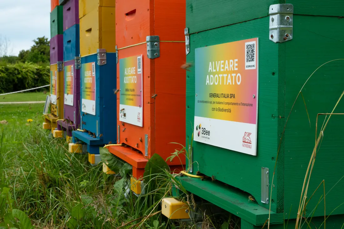 Alveari colorati adottati da Generali